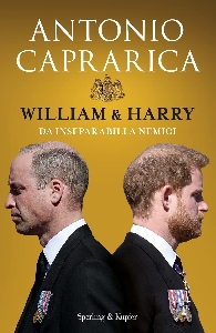 WILLIAM & HARRY - DA INSEPARABILI A NEMI