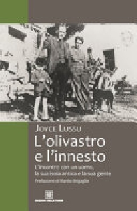OLIVASTRO E L'INNESTO
