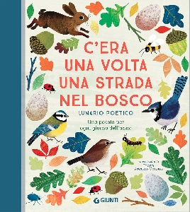 C'ERA UNA VOLTA UNA STRADA NEL BOSCO - L
