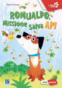 ROMUALDO, MISSIONE SALVA API