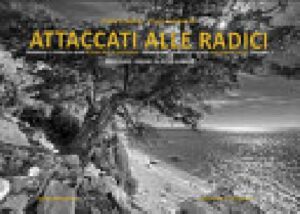 ATTACCATI ALLE RADICI. IMMAGINI E STORIE