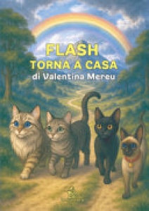 FLASH TORNA A CASA. EDIZ. ILLUSTRATA